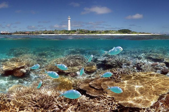 Amedee Lighthouse - Photo 1 of 9